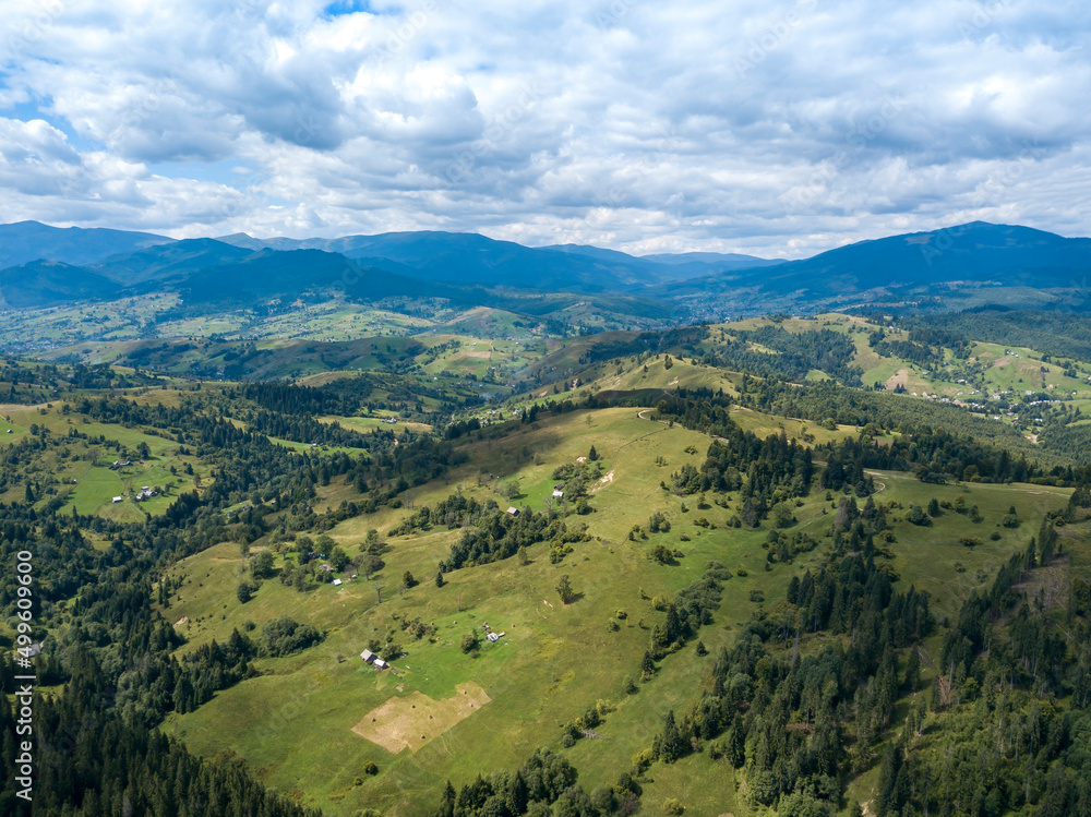 Fototapeta premium Green mountains of Ukrainian Carpathians in summer. Coniferous trees on the slopes. Aerial drone view.