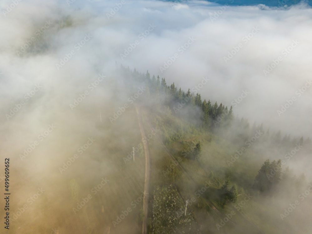 Fog envelops the mountain forest. The rays of the rising sun break through the fog. Aerial drone view.