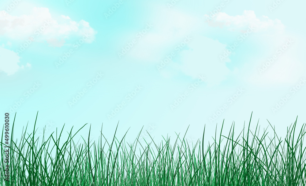 Fototapeta premium fresh spring green grass on a light background. Spring fresh background. Summer meadow.