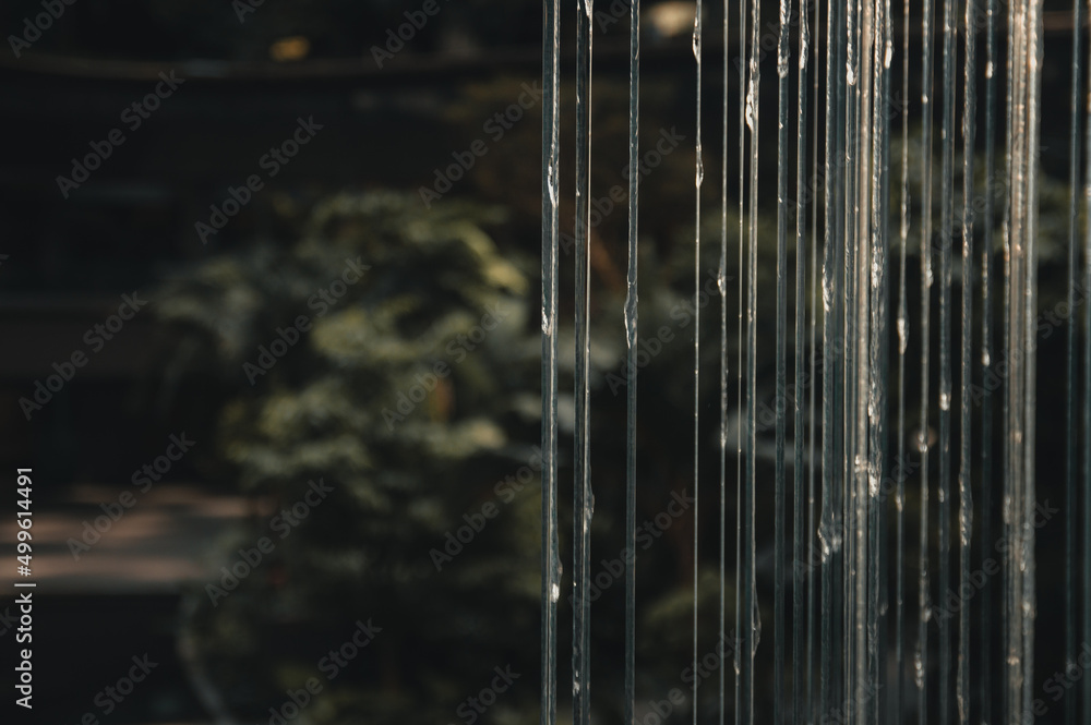 rain on the window rain on the window