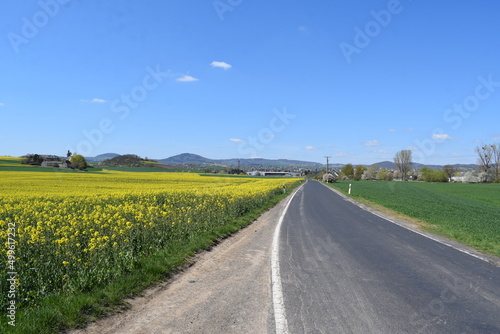 schmale Landstraße in der Eifel während des Frühlings mit gelben FEldern
