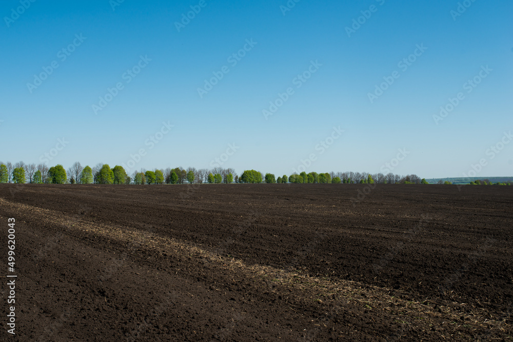 field earth spring land