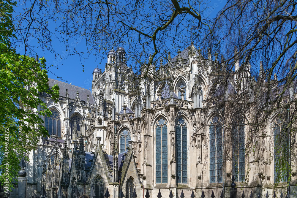 Fototapeta premium St. John's Cathedral, s-Hertogenbosch, Netherlands