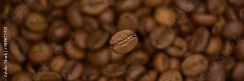Wide angle panorama – top view natural roasted coffee bean close up hovering in frozen motion on blurry background of coffee color of heap beans. Selective focus, bokeh effect