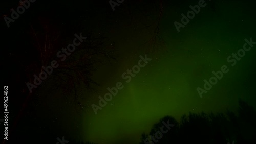 Aurora Borealis a natural spectacle over a forest. Time lapse photo