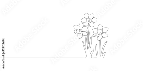 Narcissus flowers silhouette. One single line. Vector illustration. Doodle floral border. Black and white. Wedding design