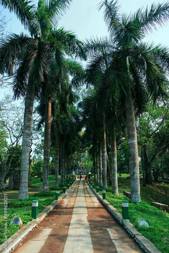 Fototapeta premium path in the park
