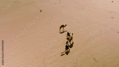 Bedouin Herdsmen Riding On Camels Crossing Jordanian Desert In Wadi Rum. Aerial Shot photo