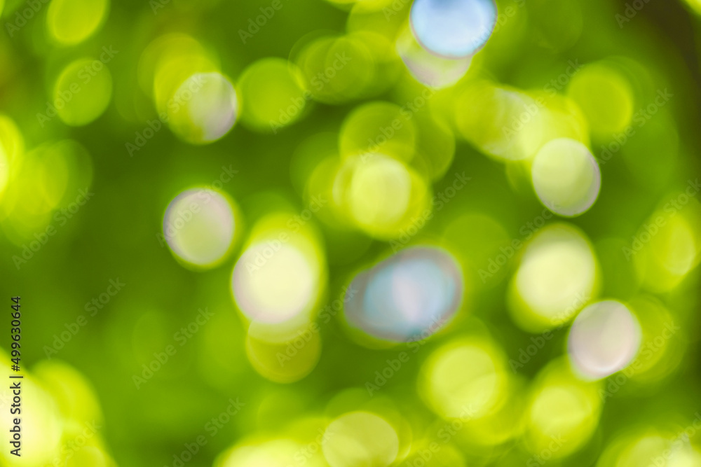 Abstract, nature bokeh background, green foliage of the forest. Green nature in blurry style for creative design. Abstract, nature bokeh background, green foliage of the forest. Green nature in blurry style for creative design.
