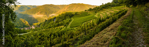 Photos Le village de Conques, son vignoble, son château, la chapelle Sainte-Foy, la cha