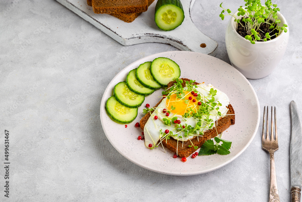 Sandwich with scrambled eggs, microgreens and pink pepper on a plate. Delicious and healthy snack Sandwich with scrambled eggs, microgreens and pink pepper on a plate. Delicious and healthy snack