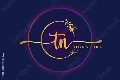 luxury signature logo design initial TN. Handwriting vector logo design illustration image photo
