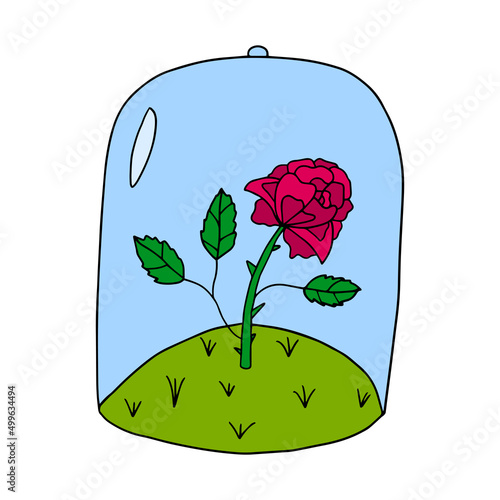 Cartoon doodle linear rose, flower under a glass jar isolated on white background. 