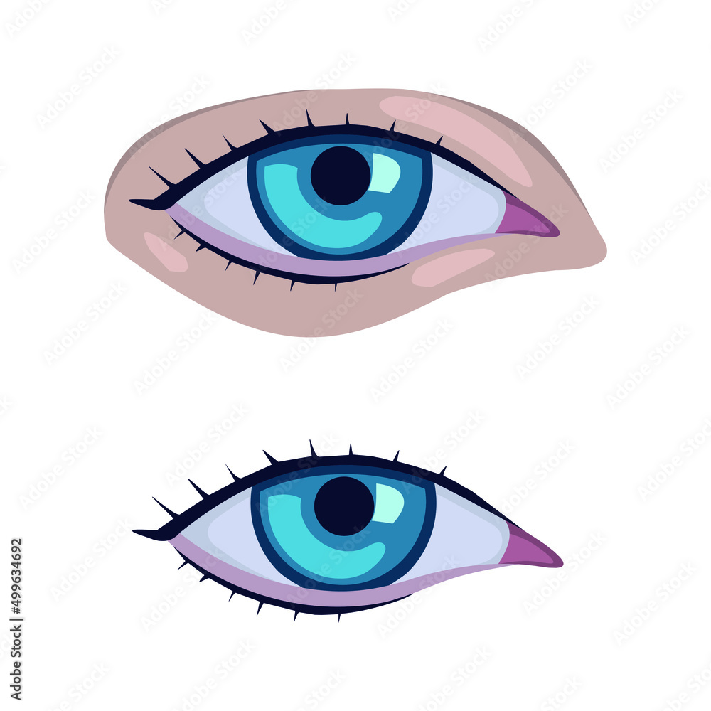 Eye vector Human organs digital design graphic 2d hd illustration Eye vector Human organs digital design graphic 2d hd illustration