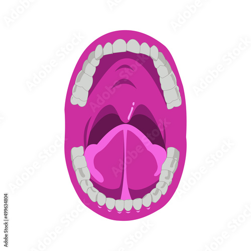 Inner Mouth open vector Human organs digital design graphic 2d hd illustration