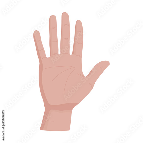 Palm Hand vector Human organs digital design graphic 2d hd illustration