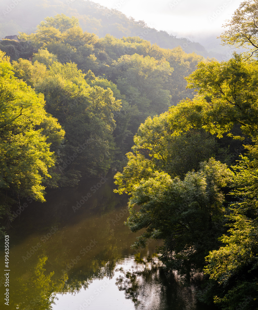 La rivière Lot en Aveyron, Occitanie, France