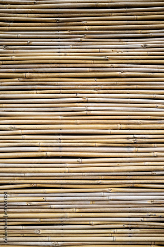 Background of dried bamboo stalks arranged horizontally. Copy space. Dry tropical bambusa.