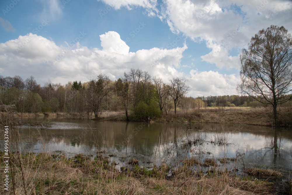 Spring landscape. Pond, trees without leaves, lake.