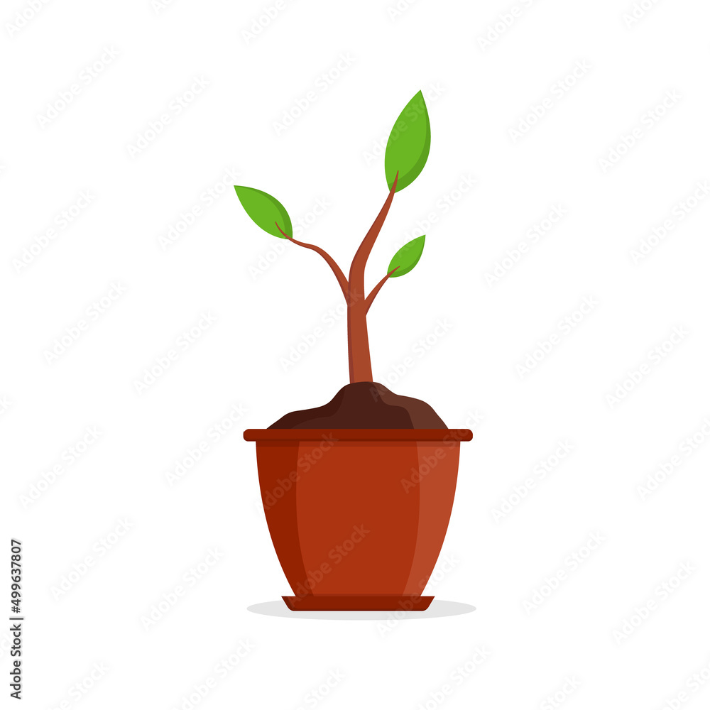Plant in pot. Plant in flowerpot at home. Flower in vase. Icon of house ficus. Flat green flower in vase isolated on white background. Tree for garden, office and botany. Growth of sprout. Vector Plant in pot. Plant in flowerpot at home. Flower in vase. Icon of house ficus. Flat green flower in vase isolated on white background. Tree for garden, office and botany. Growth of sprout. Vector