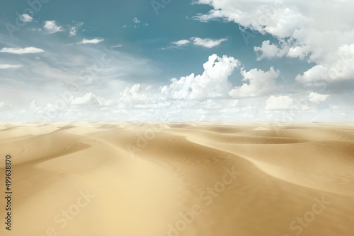 Desert landscape. sand dunes  blue sky. Drought  stagnation  lack of water.