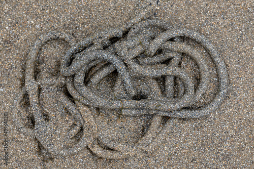 Sand out of the beach sand by the sandworm