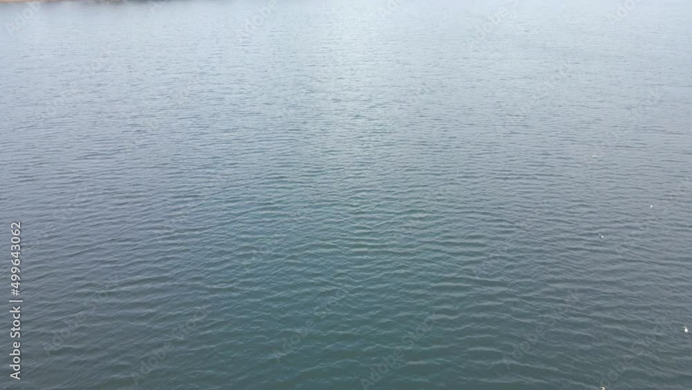 Lake and forest in countryside, aerial tilt-up reveal on cloudy day Lake and forest in countryside, aerial tilt-up reveal on cloudy day