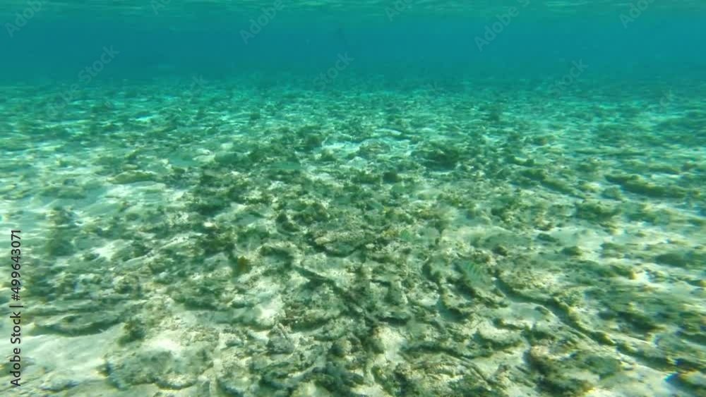 A view of the environmental damage created by the effects of storm activity on an area of coral reef. Only small coral outcrops survive amongst the white coral sand in this area. A view of the environmental damage created by the effects of storm activity on an area of coral reef. Only small coral outcrops survive amongst the white coral sand in this area.