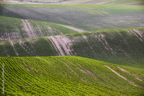 Moravian Tuscany