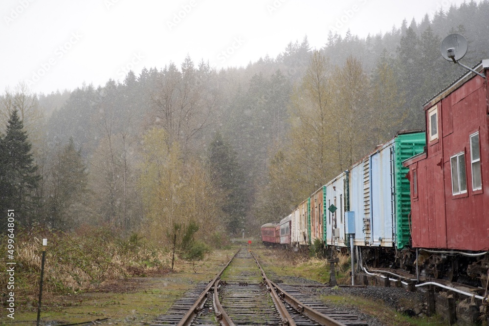 Obraz premium train on the railway