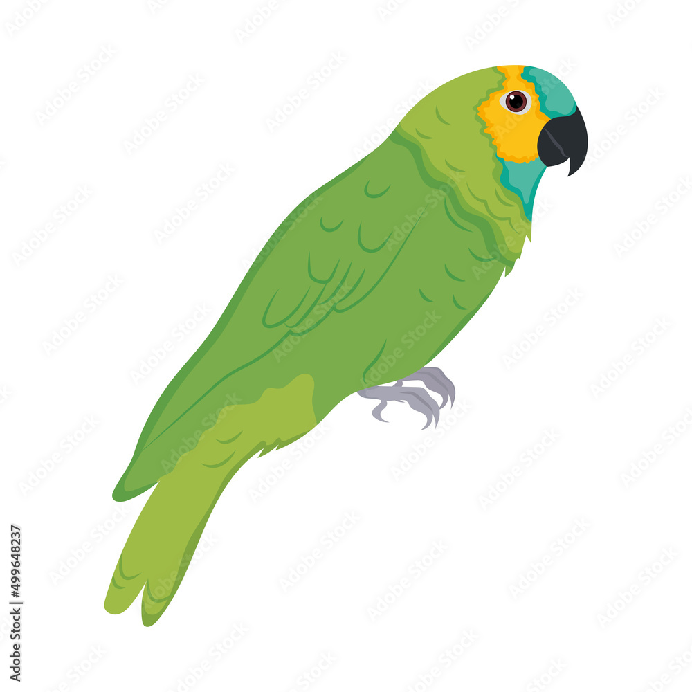 parrot bird icon