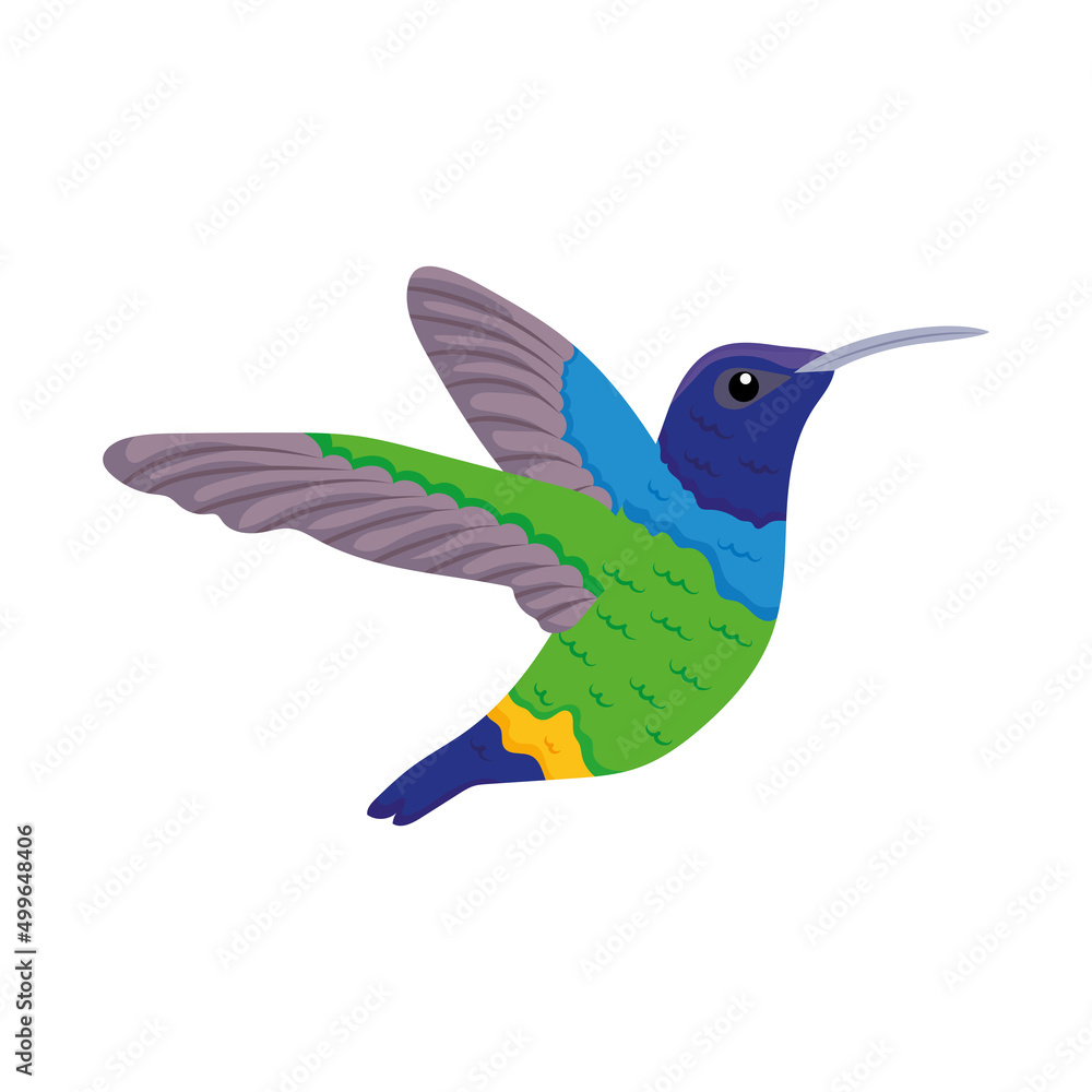 Obraz premium humming bird icon