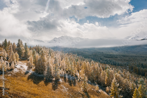 Drone view of the snow-covered forest and mountains