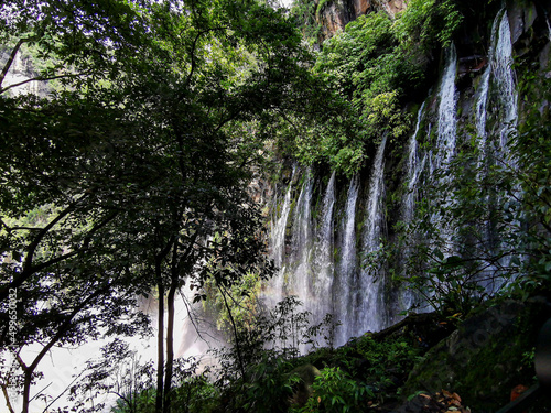 Fototapeta Naklejka Na Ścianę i Meble -  Group of waterfalls in the middle of the wild jungle.