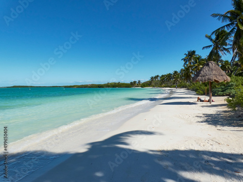 beach landscape with palm trees and vegetation in a lonely paradise