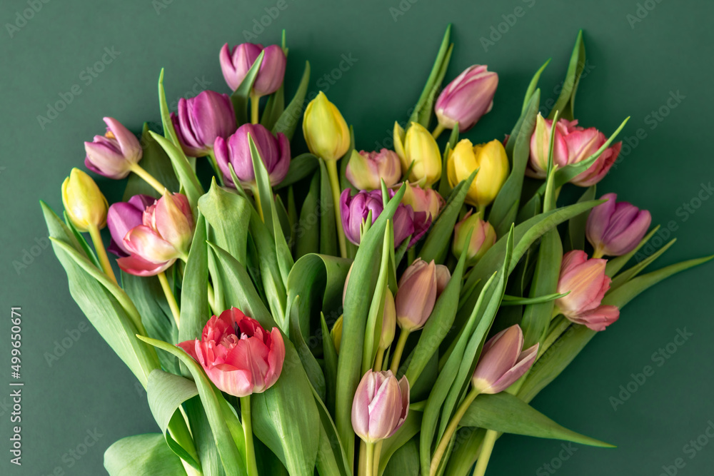 Fototapeta premium Flat lay, tulips on a colored background.