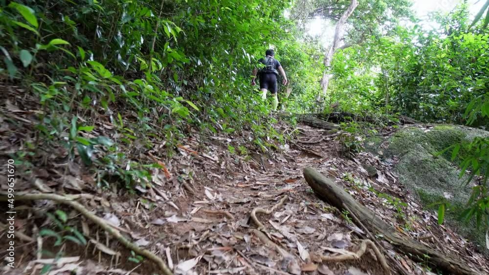 Slow hike up the hill of green forest in Malaysia Slow hike up the hill of green forest in Malaysia