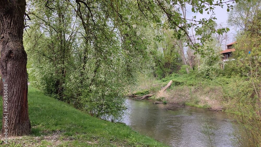 Fototapeta premium Karlsruhe Durlach Alb