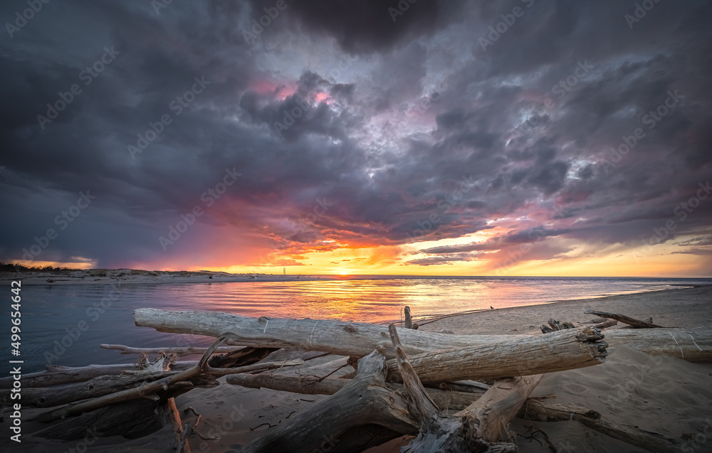 Colorful sunset at wild seaside with giant driftwood on seashore. Baltic sea in stormy weather. Colorful sunset at wild seaside with giant driftwood on seashore. Baltic sea in stormy weather.