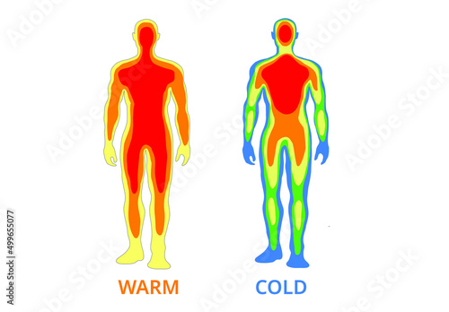Body temperature ,Vector  Illustration  photo