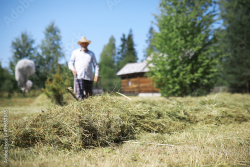 An elderly farmer cleans up the cut hay. A gray-haired man mows the grass in the meadow.