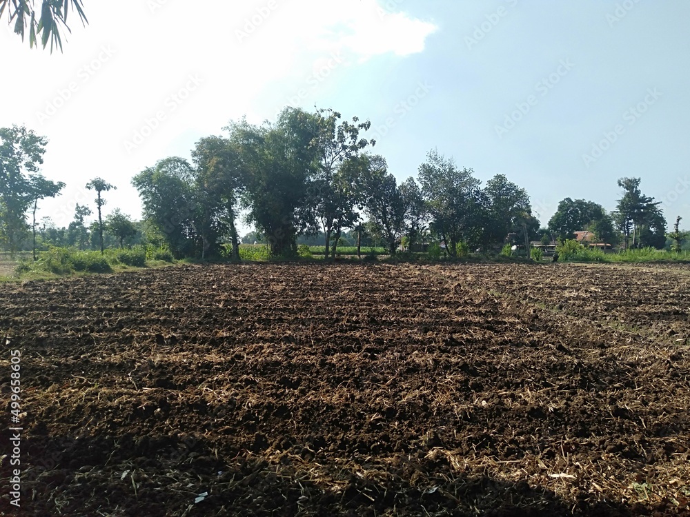 Obraz premium plowed field in spring