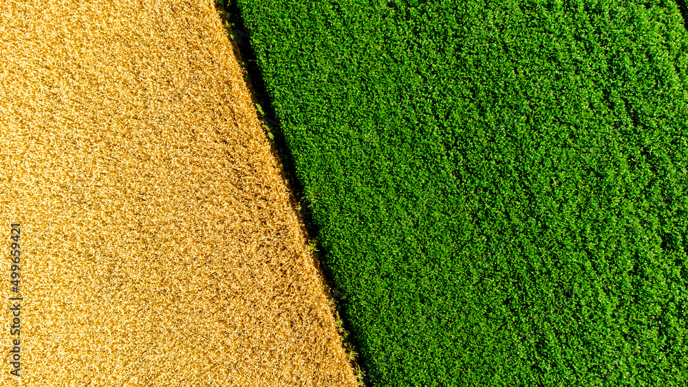 image to crop