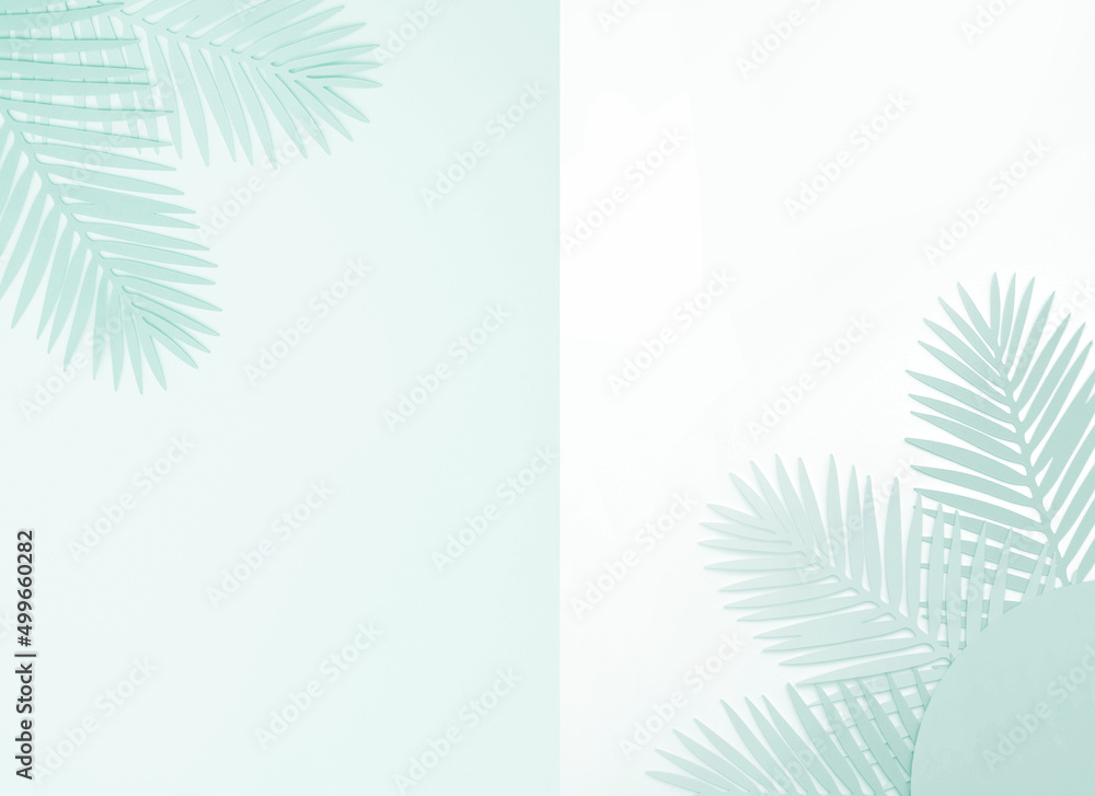 Light Blue Tropical Leaves on a White and Pastel Blue Background. Simple Modern Composition with Paper Cut Palm Tree Leaves ideal for Banner, Card, Greetings. Top-Down View. No text.