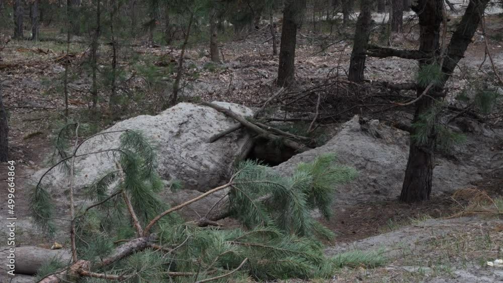 Zdvizhivka (Zdvyzhivka), Kyiv region, Ukraine - April 2022: war between Russia and Ukraine. Trenches in the forest dug by Russian soldiers near Kyiv. Zdvizhivka (Zdvyzhivka), Kyiv region, Ukraine - April 2022: war between Russia and Ukraine. Trenches in the forest dug by Russian soldiers near Kyiv.