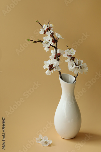 still life with white flowers
