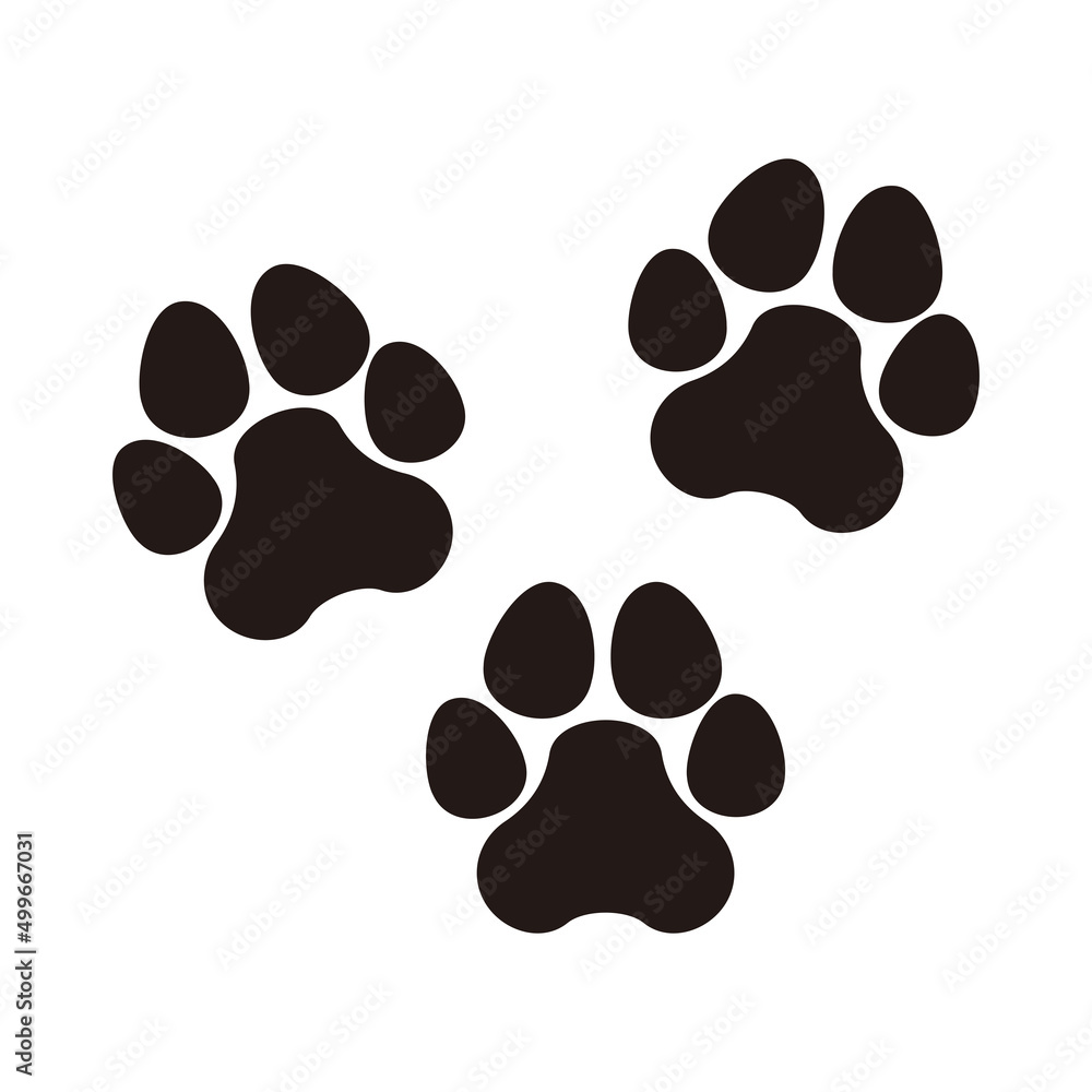 Fototapeta premium paw set icon vector illustration sign