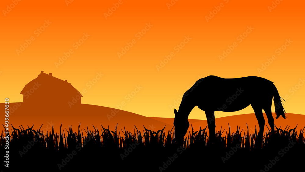Horse in the pasture near the stable at sunset time, vector illustration
