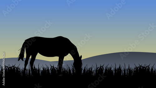 Horse in the pasture at sunset time, vector illustration © Alex White