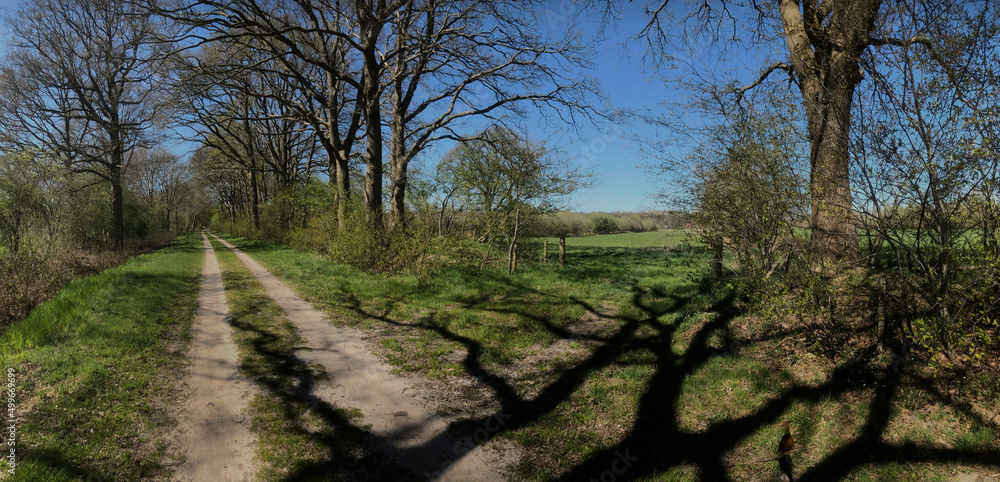 Countryroad. Dirtroad. Countryside. Uffelte. Drente. Netherlands. Countryroad. Dirtroad. Countryside. Uffelte. Drente. Netherlands.